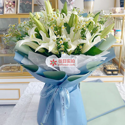 定西8支白色多头百合洋甘菊，互倾的思念