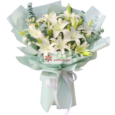 定西6支白色多头百合，温馨的祝福