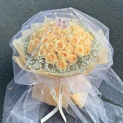 定西52朵香槟玫瑰满天星，你就是我的全部