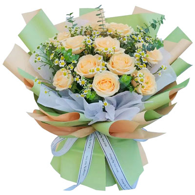 定西11朵香槟玫瑰洋甘菊，爱温暖幸福